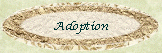 Adoption