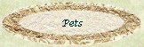 Pets