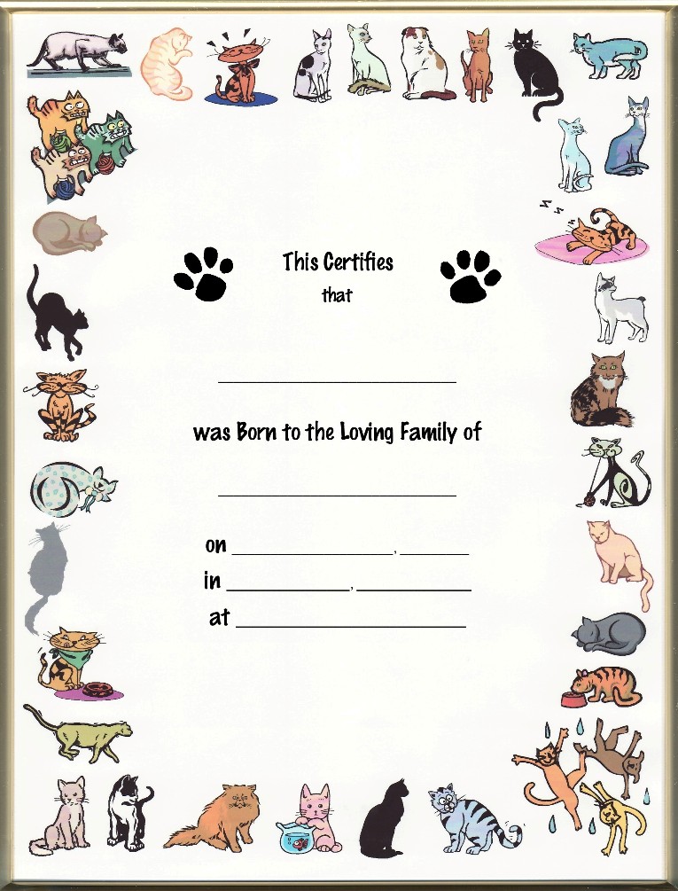 cat-birth-certificates-page